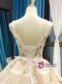 Champagne Ball Gown Straps Tulle Appliques Backless Sweet 16 Prom Dress