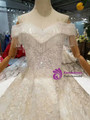 Light Champagne Ball Gown Tulle Appliques Off The Shoulder Wedding Dress With Long Train