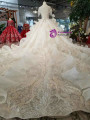 Shop 2019 Long & Short Light Champagne Ball Gown Tulle Lace Appliques Cap Sleeve Wedding Dress With Long Train With Factory Price From Kemedress