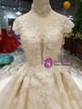 Shop 2019 Long & Short Champagne Ball Gown Tulle Lace High Neck Caps Sleeve Wedding Dress With Factory Price From Kemedress