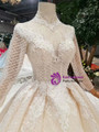 Shop 2019 Long & Short Champagne Ball Gown Tulle Lace Appliques High Neck Long Sleeve Wedding Dress With Factory Price From Kemedress