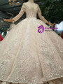 Shop 2019 Long & Short Champagne Ball Gown Tulle Sequins Long Sleeve Wedding Dress With Beading With Factory Price From Kemedress