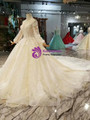 Shop 2019 Long & Short Light Champagne Ball Gown Tulle Sequins Long Sleeve Wedding Dress With Removable Train With Factory Price From Kemedress