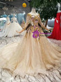 Shop 2019 Long & Short Champagne Gold Tulle Sequins Embroidery Long Sleeve Wedding Dress With Factory Price From Kemedress