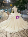 Shop 2019 Long & Short Light Champagne Tulle Sequins Appliques Bateau Cap Sleeve Wedding Dress With Factory Price From Kemedress