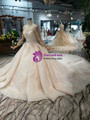 Shop 2019 Long & Short Champagne Tulle Sequins Bateau Long Sleeve Backless Wedding Dress With Factory Price From Kemedress