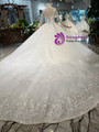 Shop 2019 Long & Short Champagne Ball Gown Tulle Appliques Long Sleeve With Beading Wedding Dress With Factory Price From Kemedress