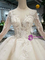 Shop 2019 Long & Short Champagne Ball Gown Tulle Appliques Long Sleeve With Beading Wedding Dress With Factory Price From Kemedress