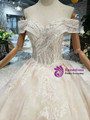 Champagne Ball Gown Lace Appliques Beading Wedding Dress With Long Train