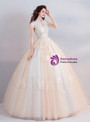 Shop 2019 Long & Short In Stock:Ship in 48 Hours Champagne Tulle High Neck Cap Sleeve Wedding Dress With Factory Price From Kemedress