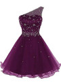 Purple Tulle One Sholuder Beading Crystal Short Homecoming Dress