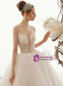 Champagne Tulle Sequins Spaghetti Straps Backless Wedding Dress With Beading