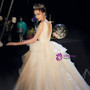 Fantastic Champagne Tulle See Through V-neck Backless Wedding Dress