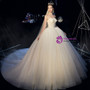 Fairy Tale Champagne Ball Gown Strapless Corset Tulle Sleeveless Wedding Dress