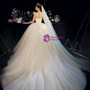 Fairy Tale Champagne Ball Gown Strapless Corset Tulle Sleeveless Wedding Dress
