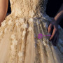 Champagne Ball Gown Tulle Flower Beading V-neck Backless Wedding Dress