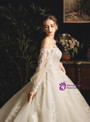 Wonderful Champagne Tulle Appliques Off the Shoulder Long Sleeve Wedding Dress