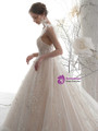 Pretty Champagne Tulle Sequins V-neck Backless Wedding Dress With Train