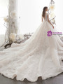 Champagne Ball Gown Deep V-neck Tulle Sequins Appliques Wedding Dress With Beading