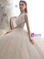 Champagne Tulle Sequins V-neck Backless Appliques Beading Wedding Dress 