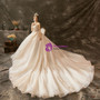 Champagne Ball Gown Tulle Appliques Open Back Wedding Dress With Train