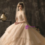 Champagne Ball Gown Tulle Sequins Short Sleeve V-neck Wedding Dress With Beading