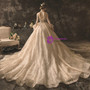 Champagne Tulle Lace V-neck Backless Wedding Dress With Beading With Train