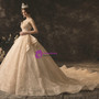 Champagne Tulle Lace V-neck Backless Wedding Dress With Beading With Train