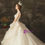 Champagne Ball Gown Tulle V-neck Cap Sleeve Backless Wedding Dress 