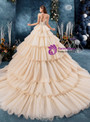 Attractive Champagne Tulle Spaghetti Straps Lace Appliques Backless Wedding Dress