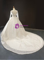 Brilliant Ivory Ball Gown V-neck Long Sleeve Appliques Backless Wedding Dress