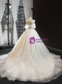 Ivory Ball Gown White Tulle Backless Appliques Wedding Dress With Train