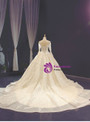 Champagne Ball Gown Tulle Appliques Long Sleeve Appliques Wedding Dress