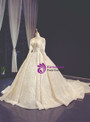 Champagne Ball Gown Tulle Appliques Long Sleeve Appliques Wedding Dress