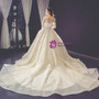 Champagne Ball Gown Tulle Appliques Long Sleeve Appliques Wedding Dress