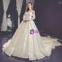 Champagne Ball Gown Tulle Appliques Long Sleeve Appliques Wedding Dress