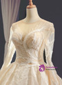 Champagne Ball Gown Tulle Appliques Long Sleeve Appliques Wedding Dress