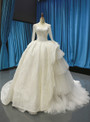 Ivory White Ball Gown Tulle Lace Bateau Long Sleeve Wedding Dress With Litter Train