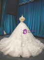 Ivory Tulle Embroidery Appliques Off the Shoulder Wedding Dress With Train