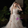 A-Line Light Champagne Tulle Spaghetti Straps Appliques Wedding Dress