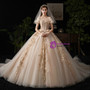 Dark Champagne Ball Gown Tulle Appliques Puff Sleeve Backless Wedding Dress