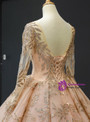 Splendid Champagne Gold Ball Gown Tulle Backless Long Sleeve Quinceanera Dresses