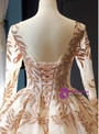 Light Champagne Ball Gown Tulle Sequins Appliques Long Sleeve Backless Prom Dress