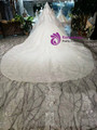 Champagne Lace Tulle Off the Shoulder Beading Wedding Dress With Long Veil 
