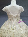 Champagne Gold Ball Gown Tulle Sequins Cap Sleeve Backless Flower Girl Dress