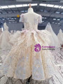 Champagne Gold Ball Gown Sequins Cap Sleeve Backless Appliques Pearls Flower Girl Dress