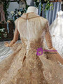 Champagne Gold Ball Gown Tulle Appliques High Neck Cap Sleeve Flower Girl Dress