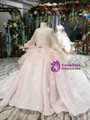 Pink Tulle Lace Long Sleeve Backless Beading Sequins Appliques Flower Girl Dress 