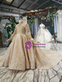 Fhshion Champagne Ball Gown Tulle High Neck Long Sleeve Beading Crystal Flower Girl Dress 