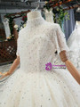 Champagne Ball Gown Tulle Hi Lo Short Sleeve High Neck Backless Beading Flower Girl Dress